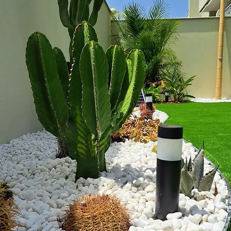 Апартаменты Casa Jardina *